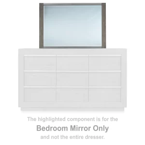 Anibecca - Weathered Gray - Bedroom Mirror - 2